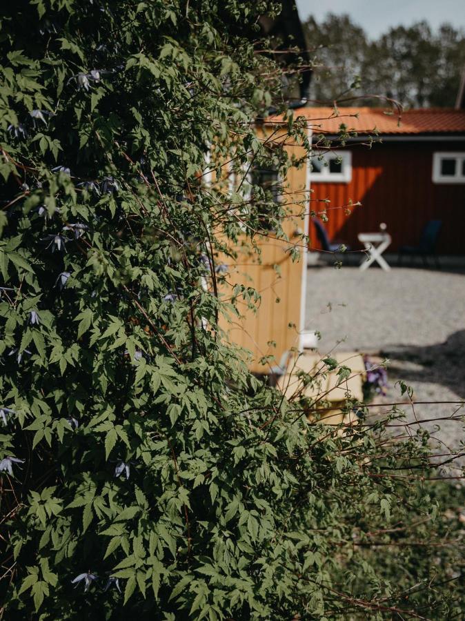 En Lantlig Idyll Med Skogen Precis Utanfoer Doerren! Villa Ullared Buitenkant foto
