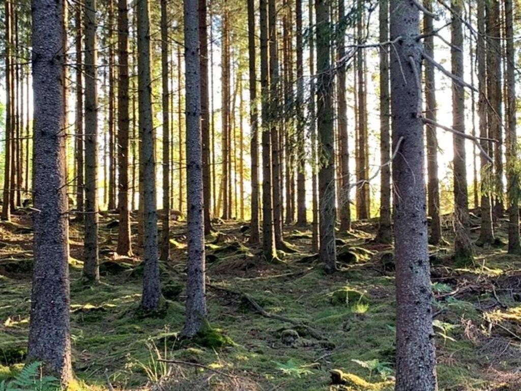 En Lantlig Idyll Med Skogen Precis Utanfoer Doerren! Villa Ullared Buitenkant foto